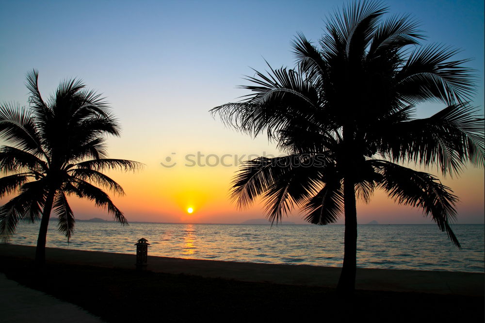 Similar – Image, Stock Photo Only the sound of the sea…