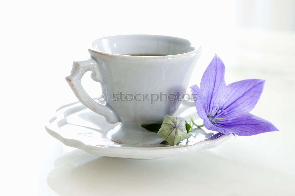 Similar – Image, Stock Photo purple Lifestyle Winter