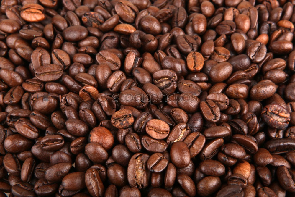 Similar – Coffee beans on wooden table background