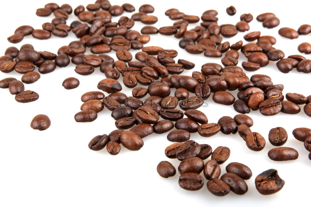 Similar – coffee beans Village Beans