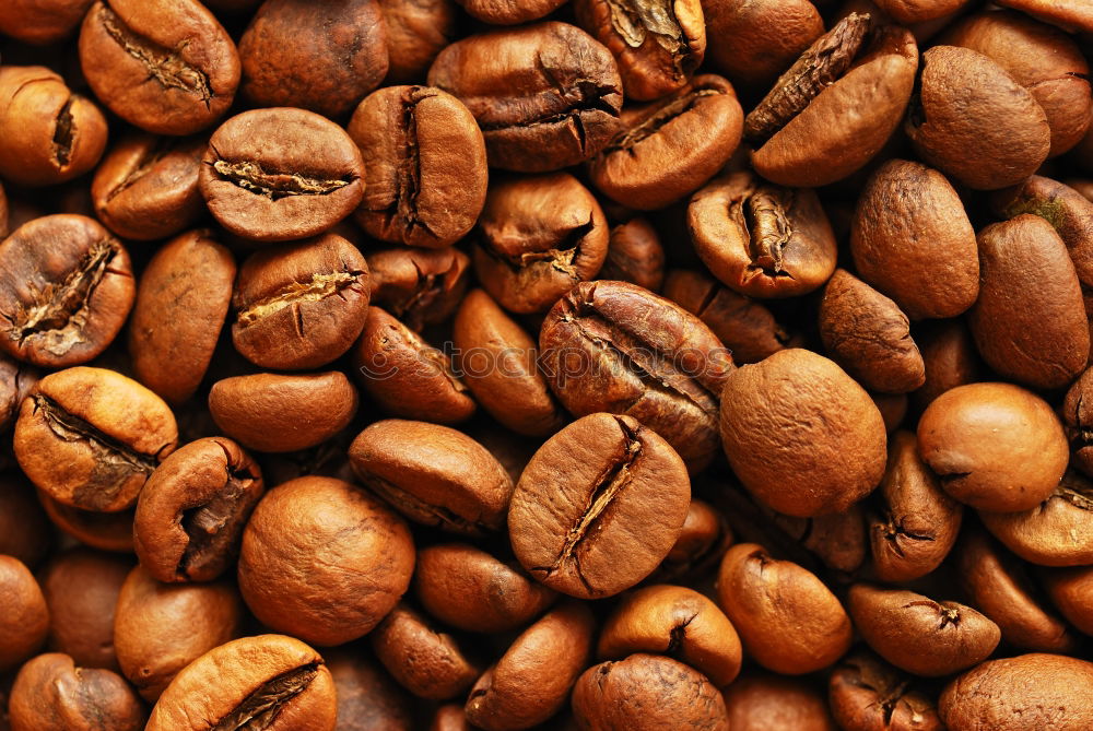 Similar – CoffeeBeans. Coffee bean