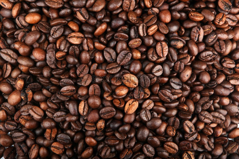 Similar – Coffee beans on wooden table background