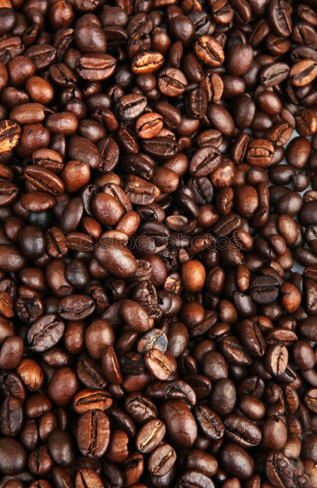 Similar – Image, Stock Photo espresso beans Espresso