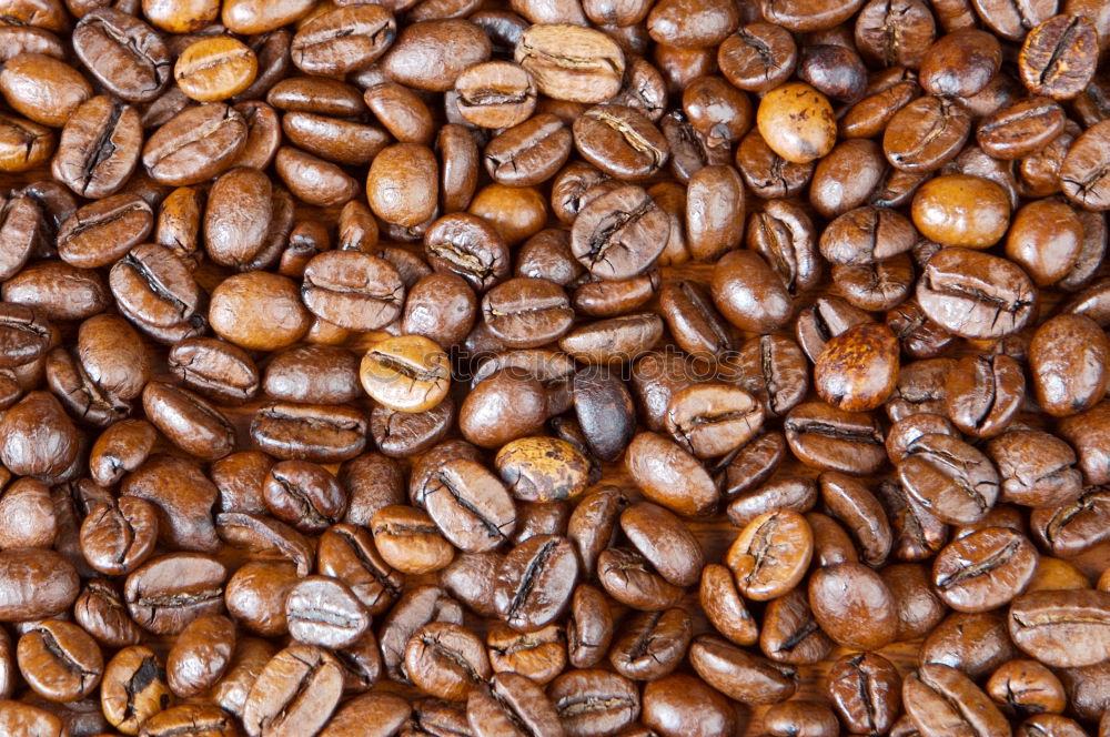 Similar – Coffee beans on wooden table background