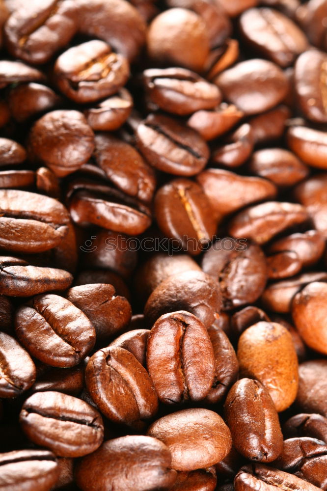 Similar – CoffeeBeans. Coffee bean