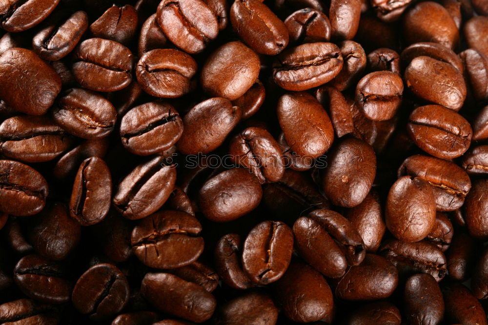 Similar – coffee beans Coffee