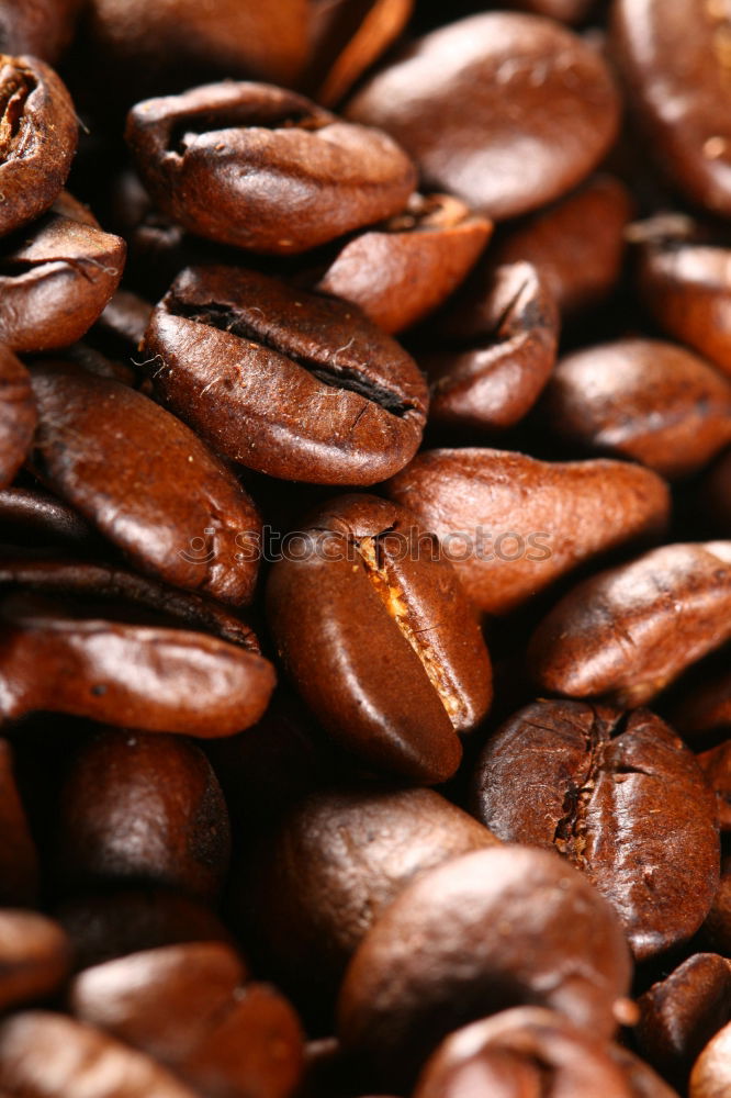 Similar – coffee beans Coffee