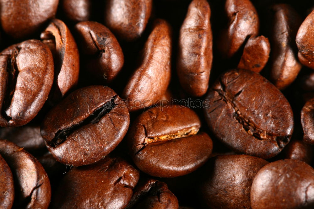 Similar – coffee beans Coffee