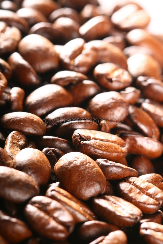 Similar – CoffeeBeans. Coffee bean