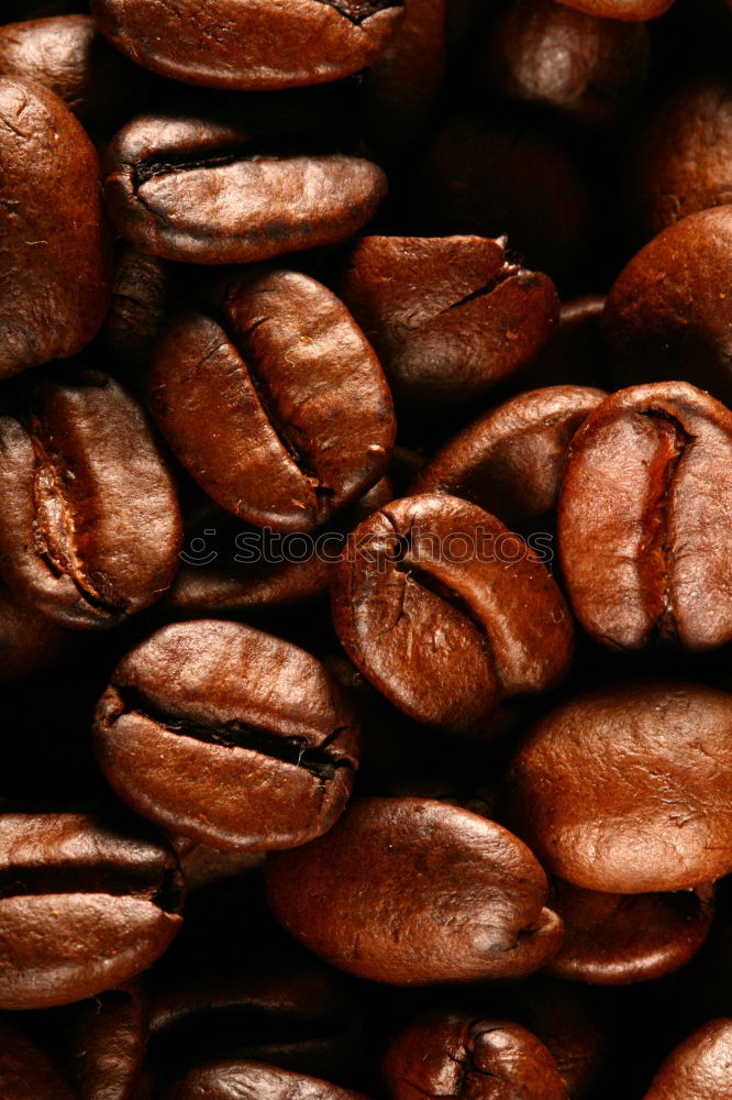 Similar – coffee beans Coffee