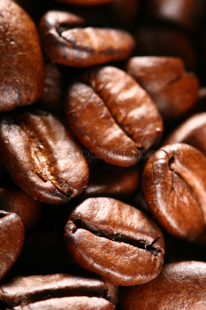 Similar – coffee beans Coffee