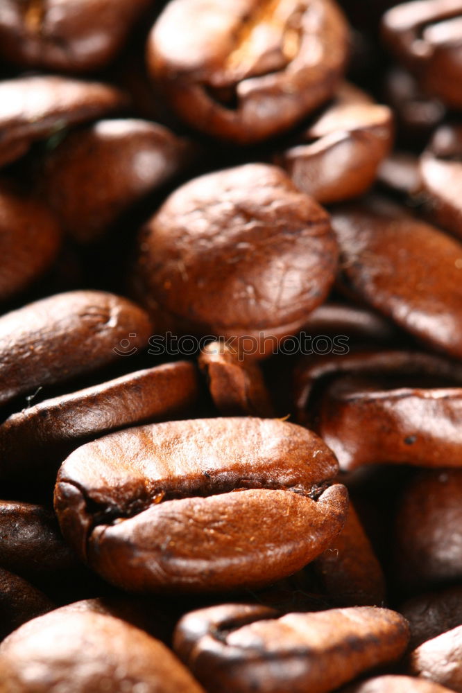 Similar – coffee beans Coffee