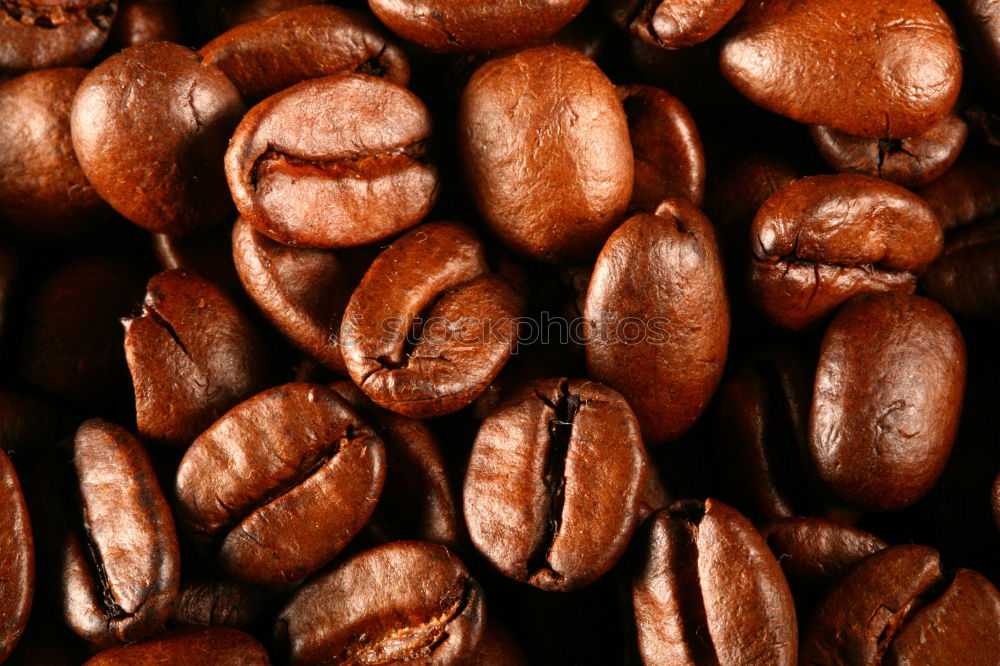 Similar – coffee beans Coffee