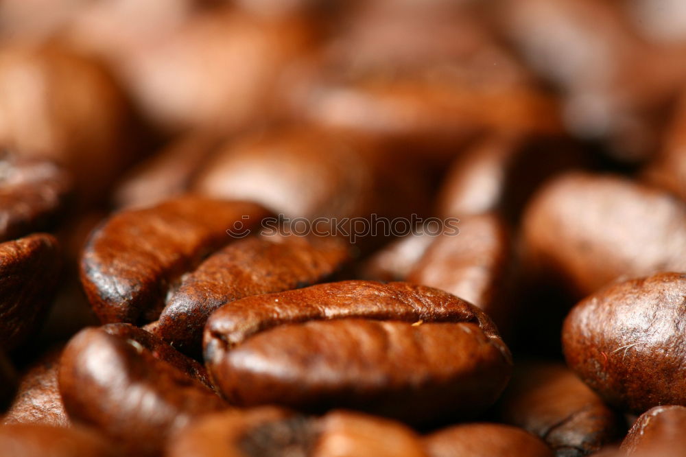 CoffeeBeans. Coffee bean