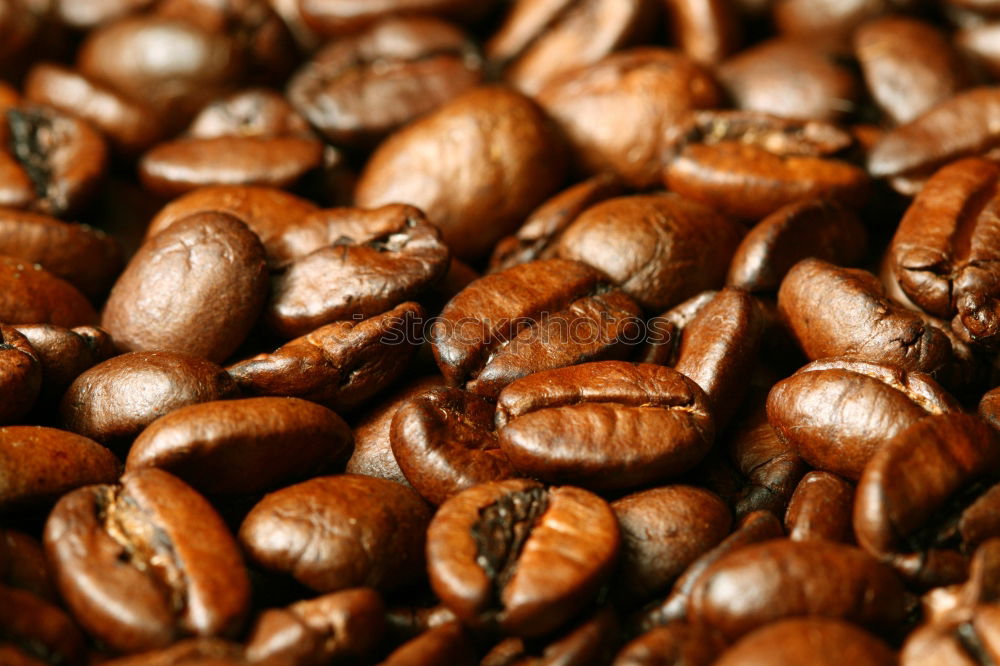 Similar – CoffeeBeans. Coffee bean