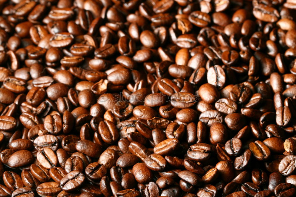 Similar – Image, Stock Photo coffee beans Food