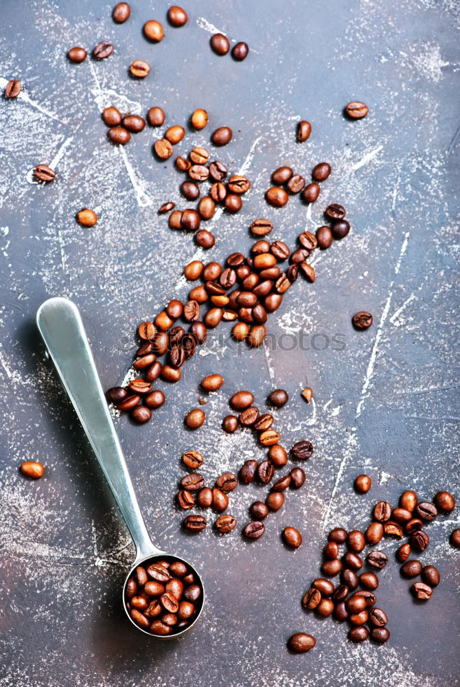 Similar – Image, Stock Photo Ingredients for preparing vigil potaje dish