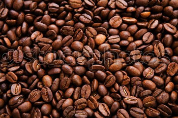 Similar – Image, Stock Photo espresso beans Espresso