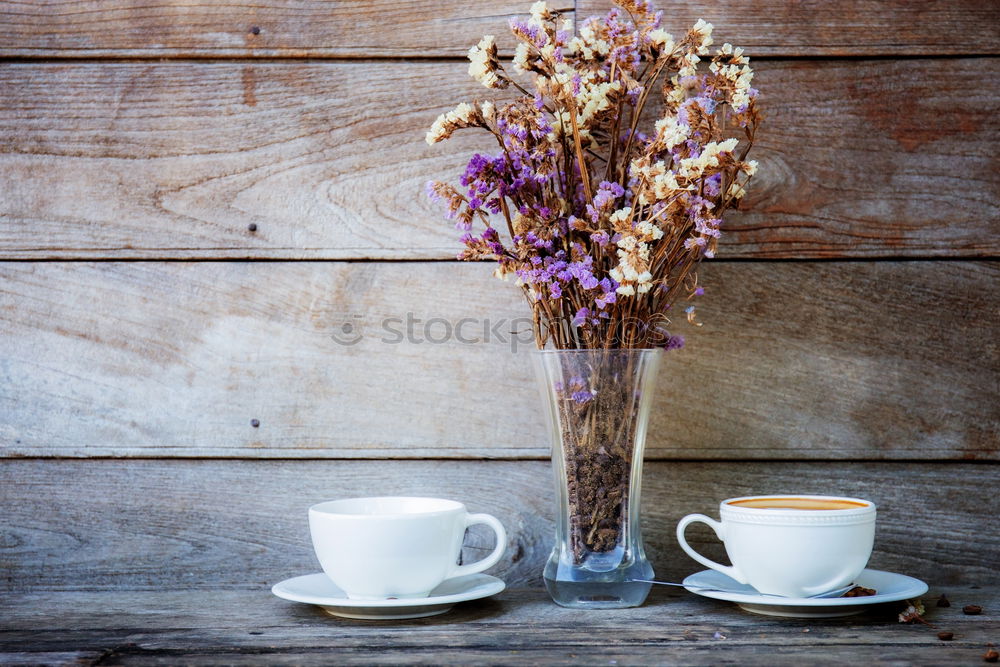 Similar – Image, Stock Photo purple Lifestyle Winter