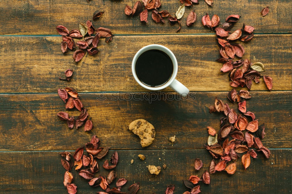 autumn To have a coffee