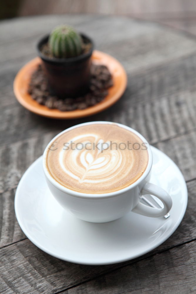 Similar – Image, Stock Photo cappuccinos Coffee