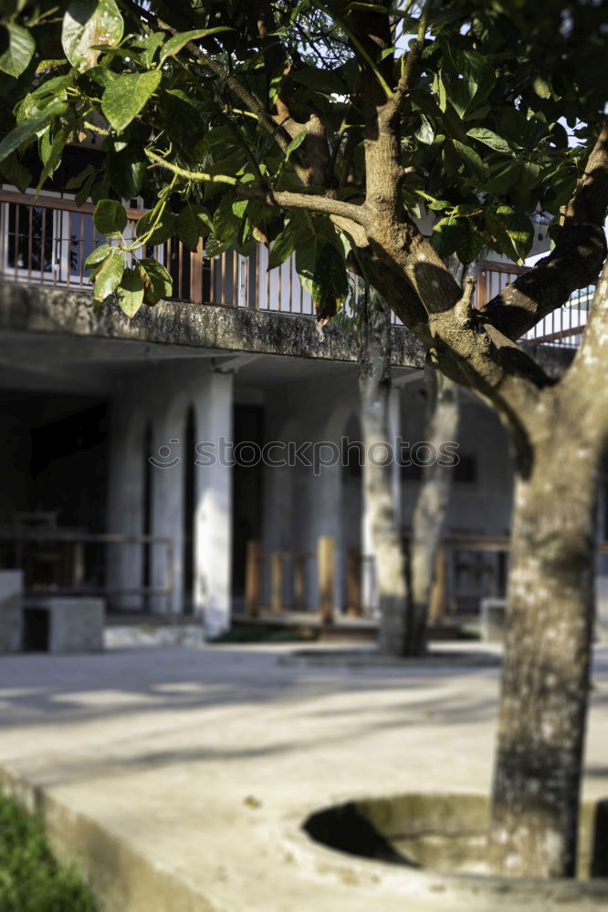 Similar – Old abandoned fish factory in Chioggia