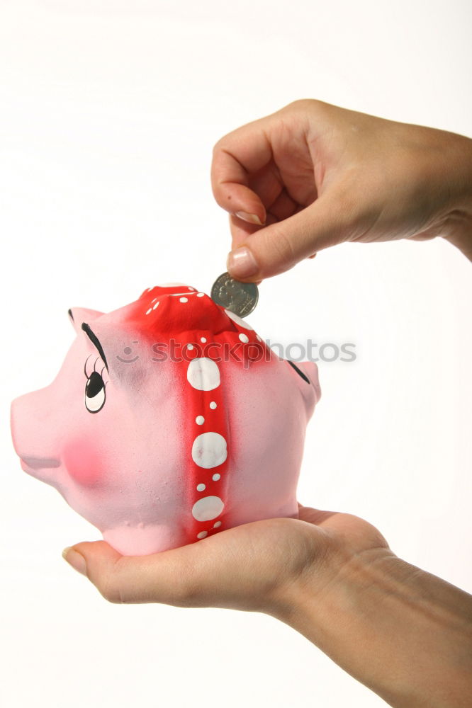 Similar – Red piggy bank Lifestyle