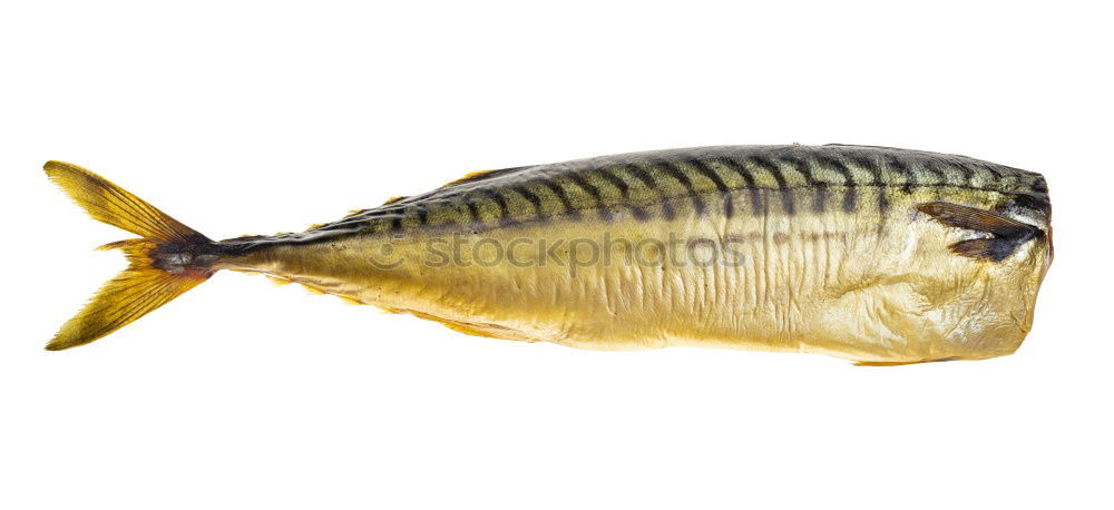 Image, Stock Photo mackerel Food Fish Seafood