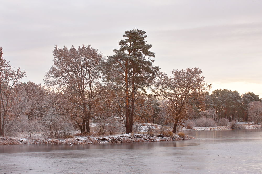 Image, Stock Photo Cold snowy morning on the lake. Late autumn