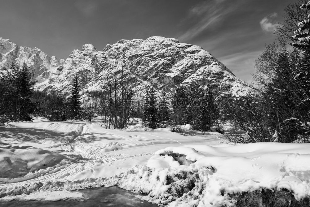 Similar – Winter Central Park