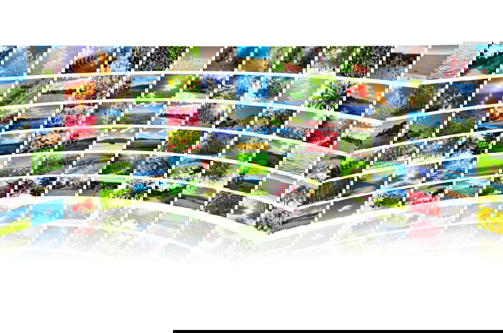 Similar – Image, Stock Photo remaining photos album