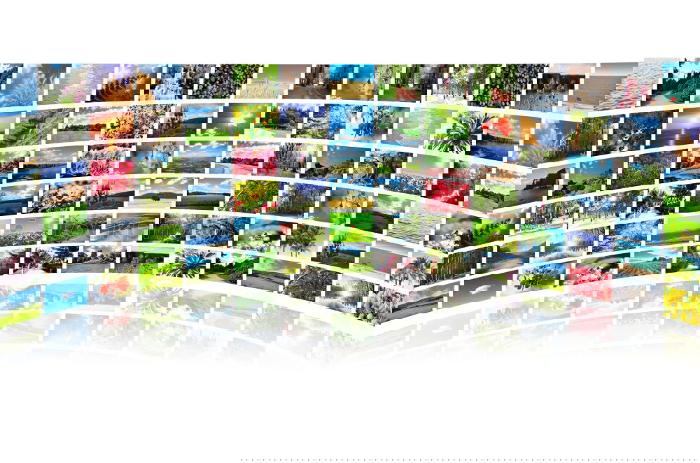 Similar – Image, Stock Photo remaining photos album