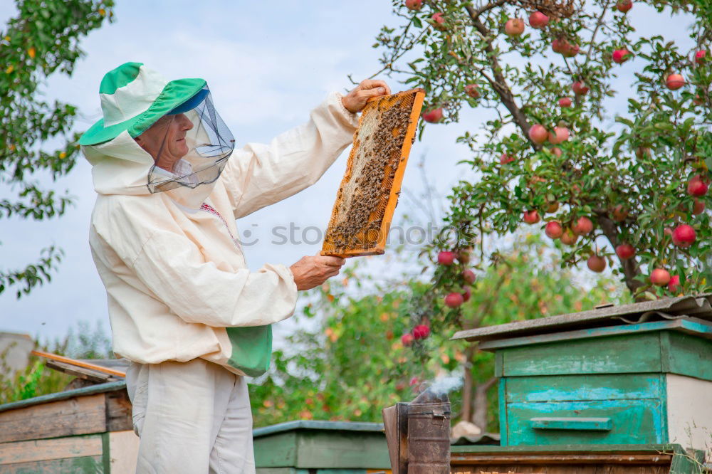 Similar – Image, Stock Photo Beekeeper working collect honey.