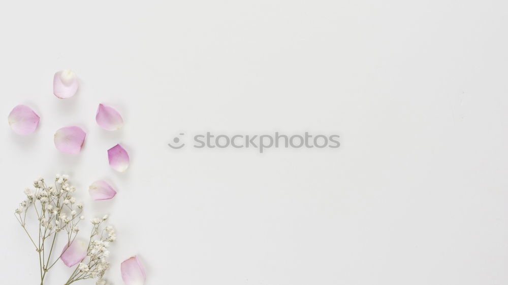 Similar – Image, Stock Photo Tropical leaves with orchids flowers and envelope