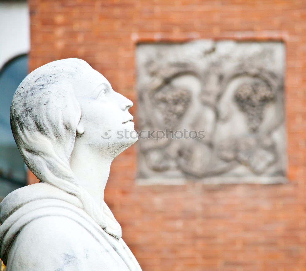 Similar – Image, Stock Photo Stylish man leaning on wall