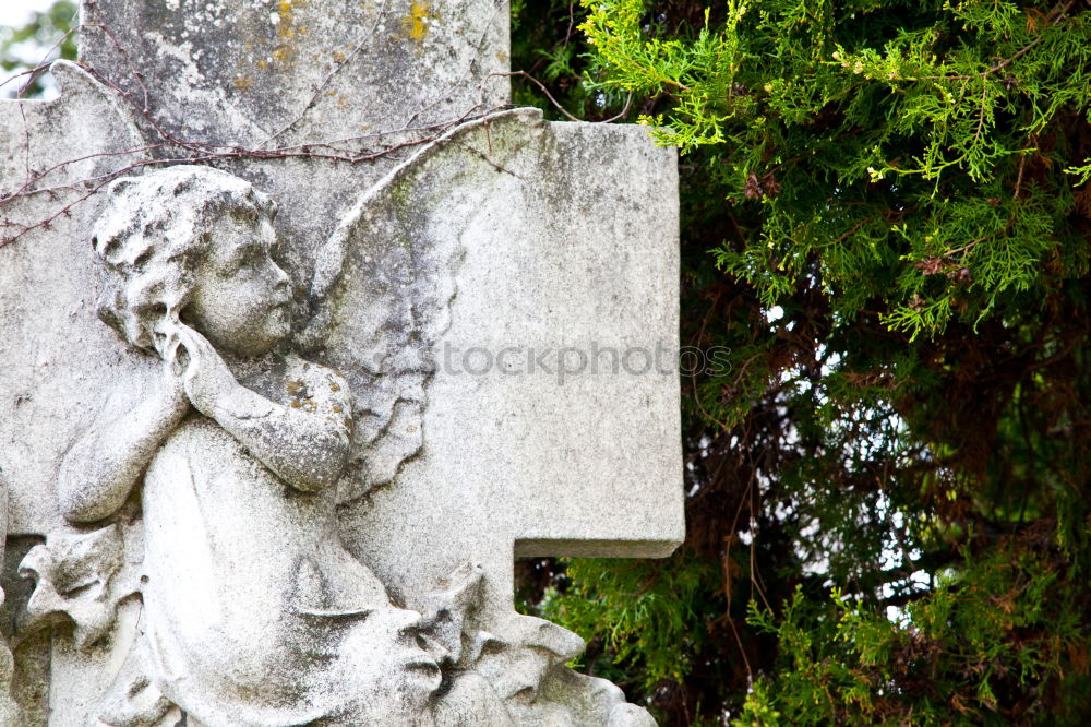 Similar – Image, Stock Photo green watering can at the cemetery