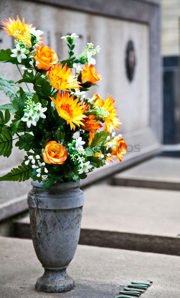 Similar – Image, Stock Photo flowers Wood Basket Flower