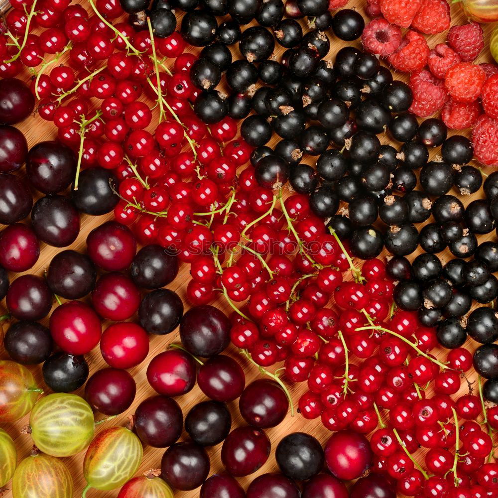 Similar – Image, Stock Photo Different summer berries, background