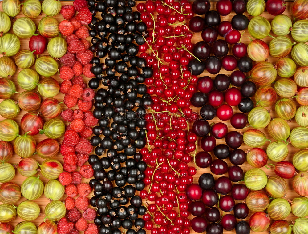 Similar – Image, Stock Photo Back to the roots Food