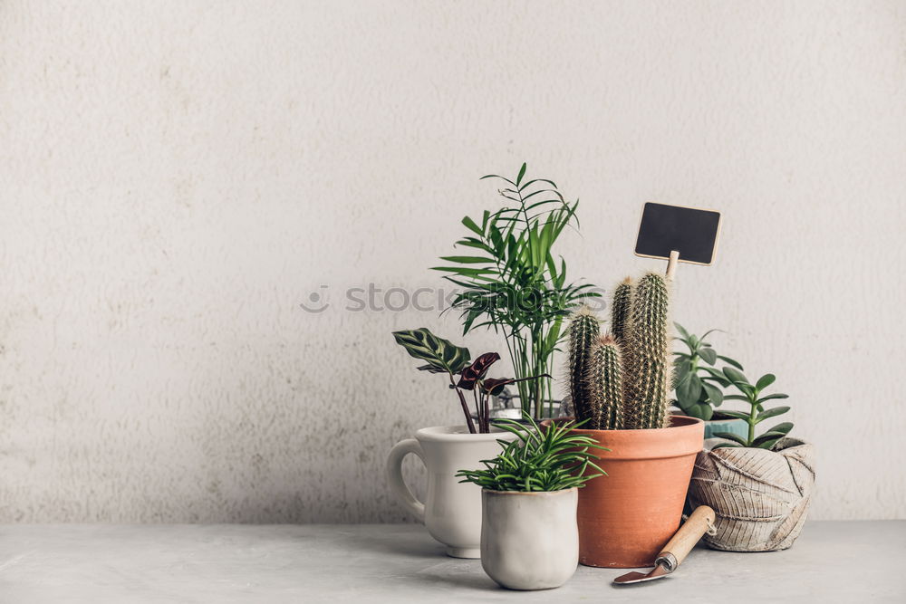 Similar – Image, Stock Photo Wellness Set Lifestyle