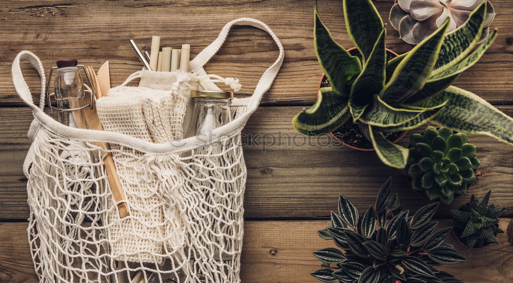 Similar – Image, Stock Photo rustic gardener set on white backround.