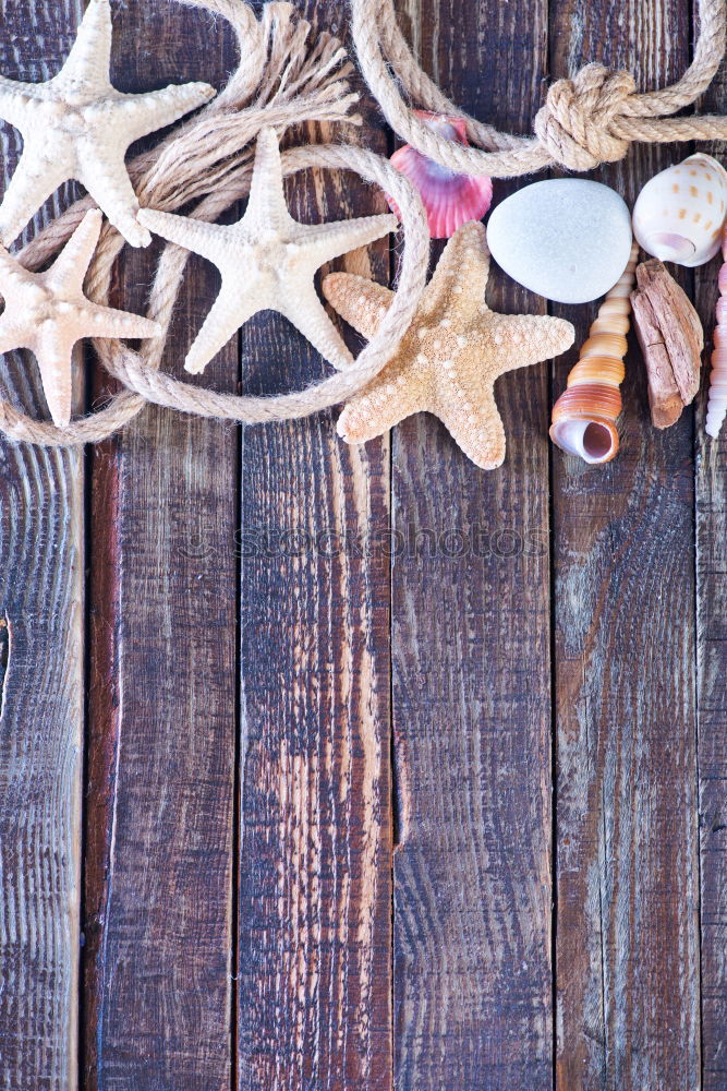 Similar – Image, Stock Photo osterkranz the fourth Wood