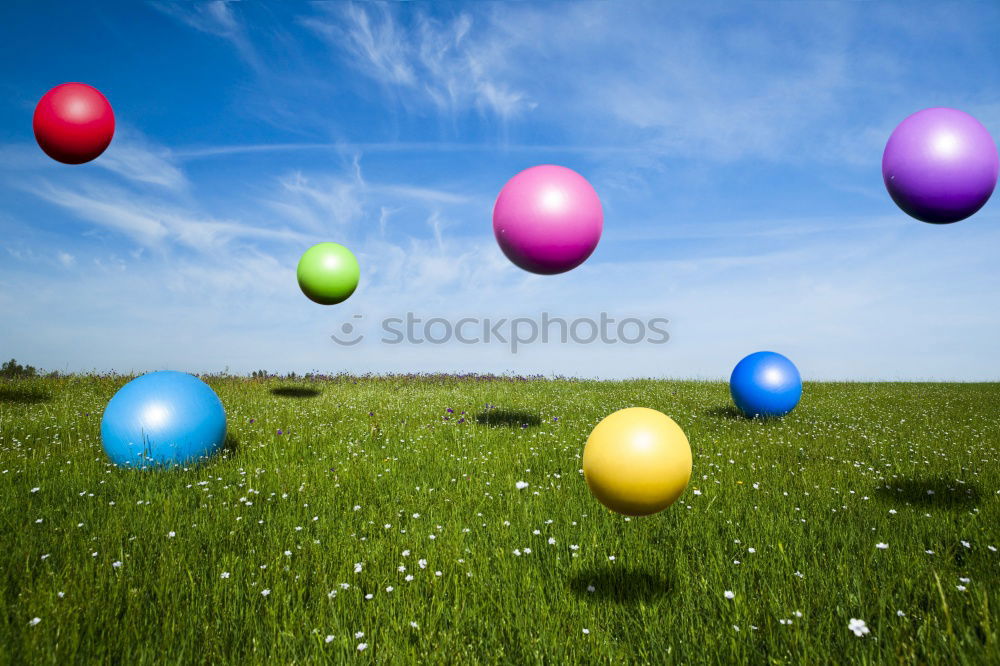 Similar – Image, Stock Photo In love with detail