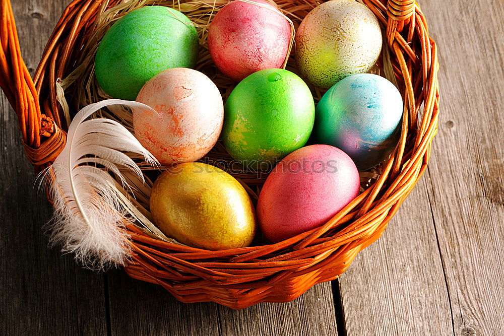 Similar – colorful Easter eggs next to natural brown chicken eggs