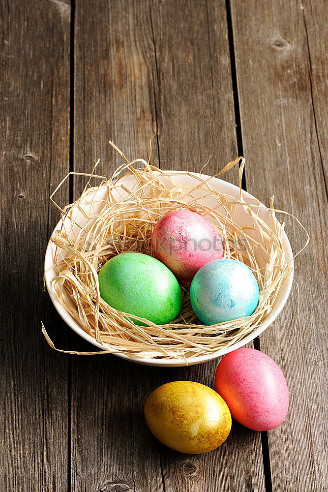 filled Easter nest