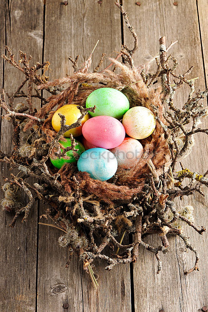 Similar – Image, Stock Photo Easter eggs in a basket on wooden background