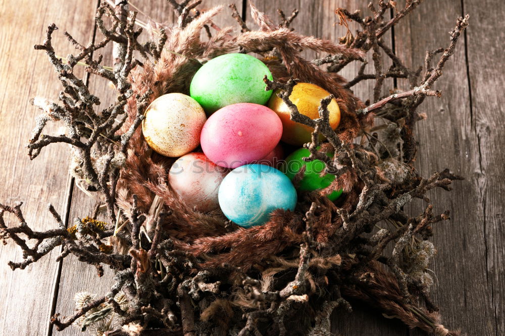 Similar – filled Easter nest