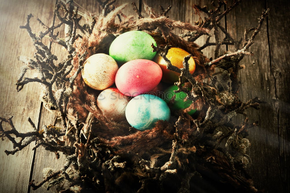 Similar – filled Easter nest