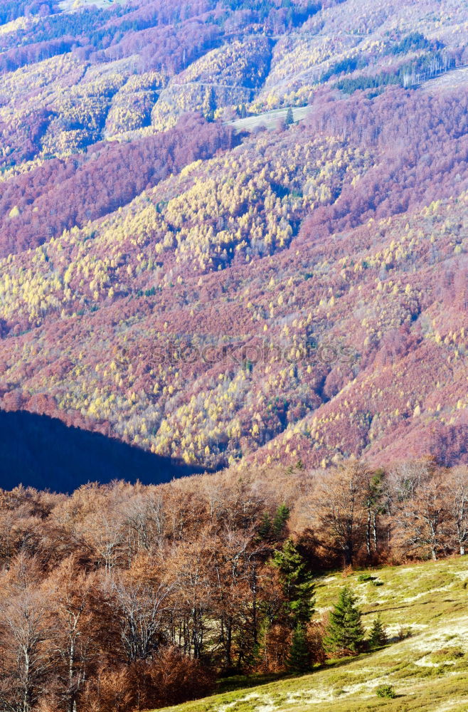 Similar – Image, Stock Photo Lone tree in autumn mountains