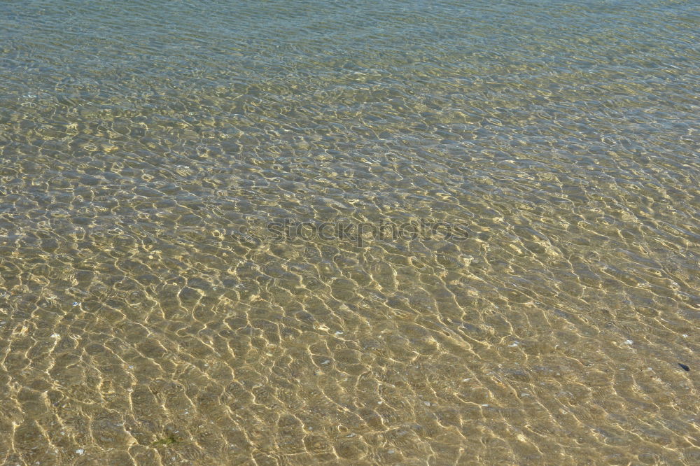 Similar – Image, Stock Photo primordial soup Earth Sand